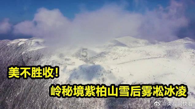 合金装备5