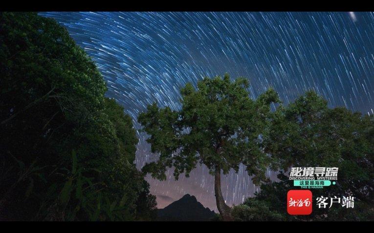 逃离太古森林