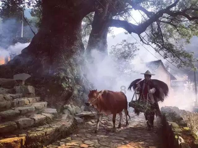 沉睡之间