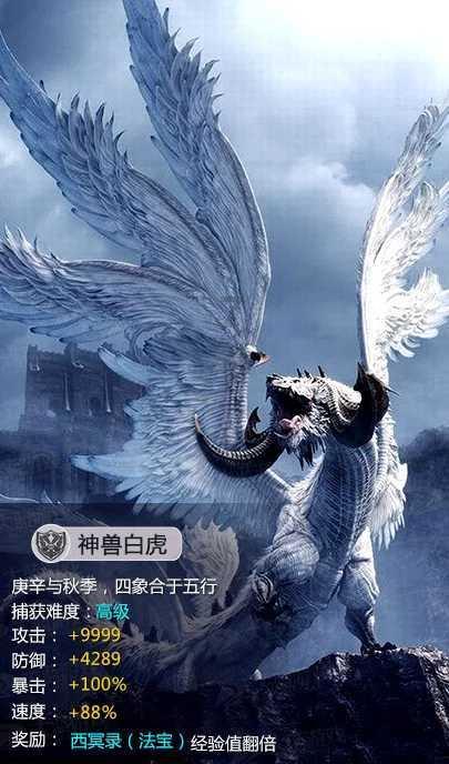 时尚博主街拍