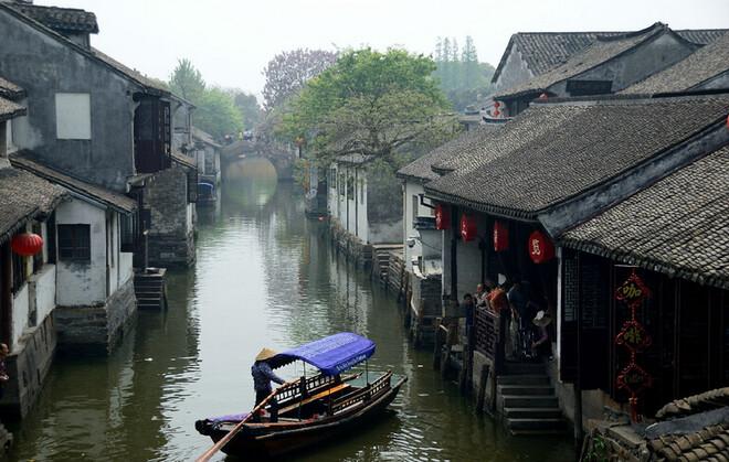 动物帮帮忙保卫家园